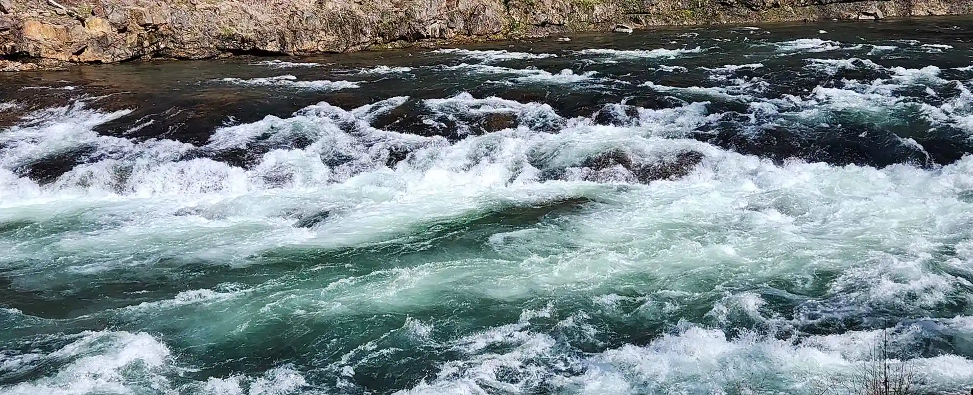 April 2024 Newsletter