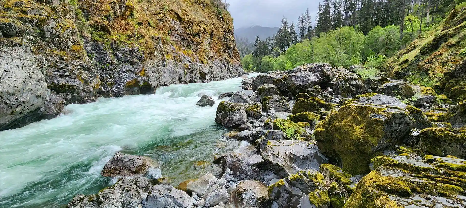 Beautiful green and white river flowing through mossy rocks and boulders.